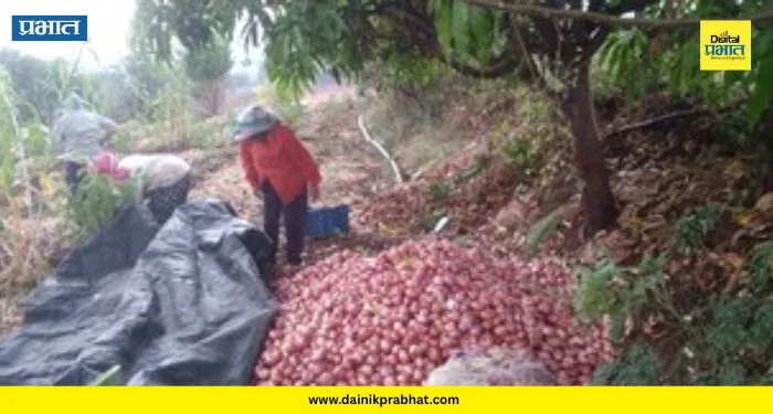 Unseasonal Rain : कापूरहोळ परिसरात अवकाळीचा तडाखा! उभ्या पिकांचे नुकसान; शेतकरी हवालदिल