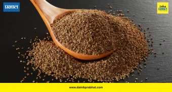 Ajwain Benefits: झोपण्यापूर्वी अर्धा चमचा ओवा खा; पचन, वजन आणि श्वासाच्या तक्रारींवर रामबाण उपाय!
