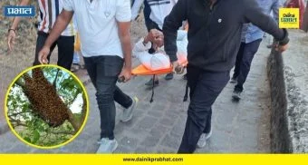 Sinhagad Bee Attack : सिंहगडावर हुल्लडबाजी नडली! मधमाशांचा भीषण हल्ला, दीड वर्षाच्या बालकासह ६ जण जखमी