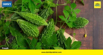 Bitter Gourd: कारल्याचा कडूपणा कमी करण्यासाठी या सोप्या किचन टिप्स वापरा; भाजी होईल अधिक चविष्ट