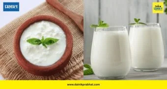 Acidity: दही खायचं की ताक प्यायचं? पचनासाठी करा योग्य निवड!