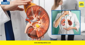 Kidney failure : शरीराचा सायलेंट किलर.! किडनी फेल होण्याआधी शरीर देतं 'हे' संकेत; लक्षणे आणि उपाय जाणून घ्या