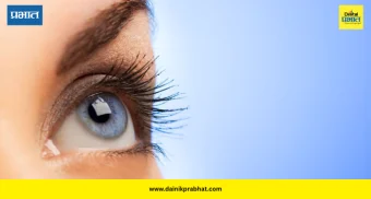 Eye Health: चष्म्याचा नंबर वाढतोय? डोळ्यांची ताकद वाढवण्यासाठी आहारात आजच समाविष्ट करा या ५ गोष्टी