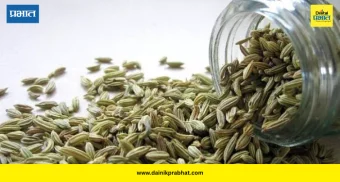 Fennel Seeds Benefits: फक्त माउथ फ्रेशनर नाही! उन्हाळ्यात बडीशेपचा योग्य वापर केल्यास मिळतील 'हे' जबरदस्त आरोग्यदायी फायदे