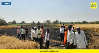 Hingoli : महावितरणच्या तारांना स्पार्किंग; हिंगोलीत 5 शेतकऱ्यांचे पीक जळून खाक