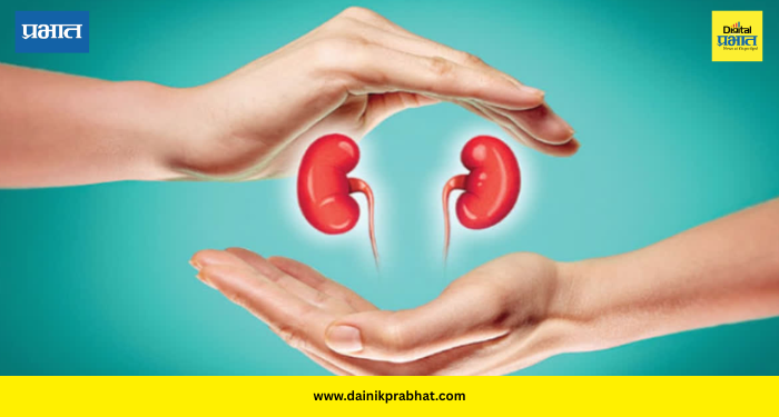 Kidney