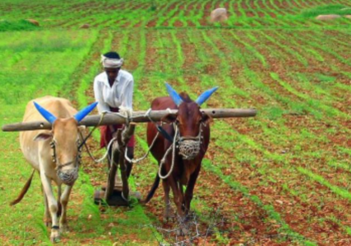 Agriculture