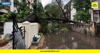 Pune Unseasonal Rain: पुण्यात मुसळधार पावसामुळे 14 ठिकाणी झाडे कोसळली; वाहतूक विस्कळीत
