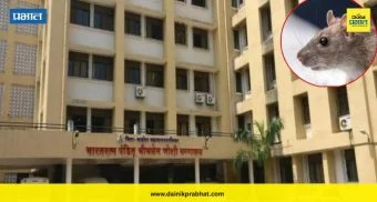 Top Marathi News थंबनेल 3