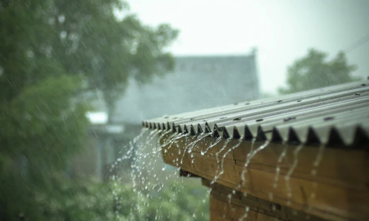 Rain Update: मराठवाडा ते विदर्भ… ‘या’ जिल्ह्यांमध्ये विजांच्या कडकडाटासह गारपीट अन् पाऊस; पुढचे 4 दिवस ‘यलो अलर्ट’