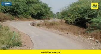 Road Safety : रस्त्याच्या मधोमध 'यमराज' उभा? तळेगाव ढमढेरे येथील धोकादायक आडाकडे ग्रामपंचायतीचे दुर्लक्ष