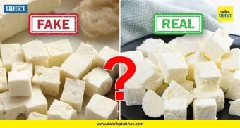 Health Alerts : सावधान! तुम्ही हॉटेलमध्ये पनीर नाही तर 'विष' खाताय? पाहा कसं ओळखायचं नकली पनीर