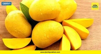Mango Market : कर्नाटक हापूसकडे ग्राहकांची पाठ! भावात २५ टक्क्यांची घसरण, रत्नागिरी हापूसच्या खरेदीकडे कल