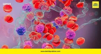 World Hemophilia Day 2026: लहानशी जखमही ठरू शकते जीवघेणी; हीमोफिलियाबाबत जाणून घ्या महत्त्वाच्या गोष्टी