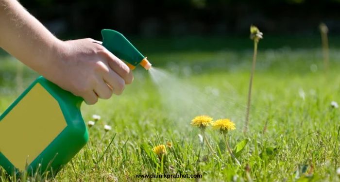 Herbicide