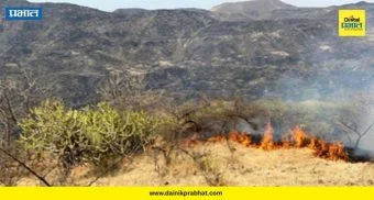 Jejuri Forest Fire : पिंगोरीच्या डोंगररांगांत भीषण वणवा; दीड हजार एकर वनसंपदा खाक..नेमकं कारण काय?