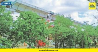 Pune Metro : मेट्रो धावणार अन् पर्यावरणही जपणार! हिंजवडी मेट्रो प्रकल्पाचा 'ग्रीन' पॅटर्न; ५,५०० झाडे १००% जगली