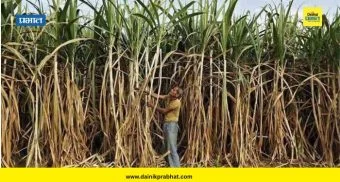 Sugarcane Policy 2026 : ऊस उत्पादक शेतकऱ्यांना मोठा दिलासा ! केंद्राने 'तो' नियम केला रद्द