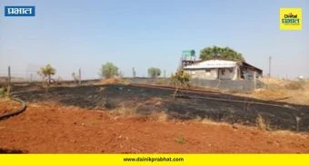 Parsul Fire : परसुलमध्ये आगीचे तांडव! हापूसच्या बागा आणि जनावरांचा चारा जळून खाक; वर्षभराची मेहनत मातीमोल