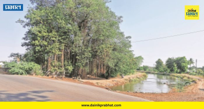 Sansar Bridge