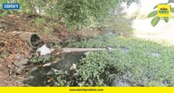 Indrayani River Pollution : पवित्र इंद्रायणीचे पाणी झाले विषारी! कामशेतमध्ये सांडपाणी थेट नदीत; नागरिकांच्या जिवाशी खेळ