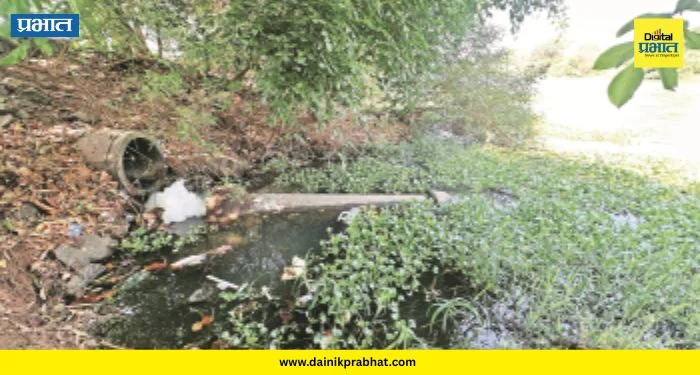 Indrayani River Pollution : पवित्र इंद्रायणीचे पाणी झाले विषारी! कामशेतमध्ये सांडपाणी थेट नदीत; नागरिकांच्या जिवाशी खेळ