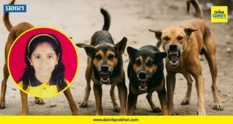 Stray Dog Attack : काळजाचा थरकाप! ११ वर्षीय बालिकेवर ८ कुत्र्यांचा तुटून हल्ला; शरीराचे तोडले लचके