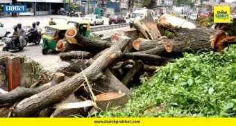 Pune Metro : पुणे मेट्रोच्या वृक्षतोडीला विरोध! ४६६ झाडं तोडण्याच्या प्रस्तावावर पर्यावरणप्रेमींचा मोठा आक्षेप