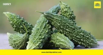 Bitter Gourd: कडू पण गुणकारी! उन्हाळ्यात कारल्याचे ५ जबरदस्त फायदे; वजन कमी ते रक्तशुद्धीपर्यंत लाभ