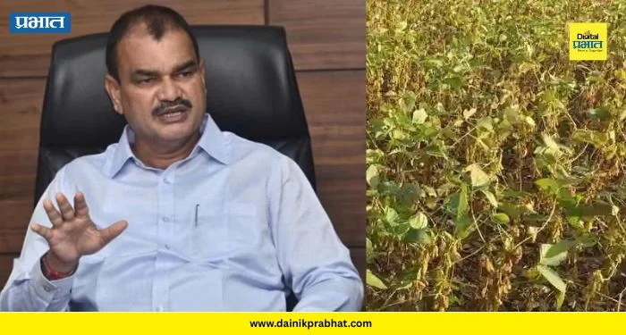 Crop Insurance : शेतकऱ्यांना मोठा दिलासा; १,२१९ कोटींचा पीकविमा मंजूर, आठवड्यात खात्यावर पैसे जमा होणार