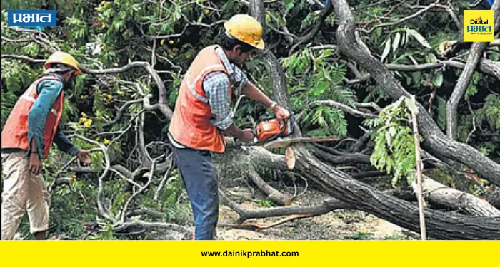 Nashik tree cutting stay : कुंभमेळ्यासाठी वृक्षतोडीला २८ एप्रिलपर्यंत स्थगिती; पर्यावरणप्रेमींच्या याचिकेला मोठं यश