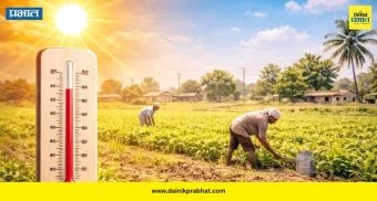 Heatstroke Cases : धक्कादायक! उष्माघातामुळे राज्यात ६ जणांचा मृत्यू ! १८५ रुग्ण रुग्णालयात दाखल; 'या' जिल्ह्यांत सर्वाधिक धोका