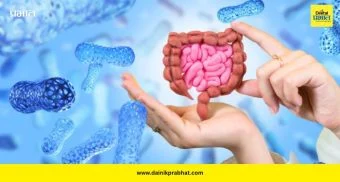 Gut Health: तुमचं पोट खरंच हेल्दी आहे का? हे टेस्ट सांगतील आतड्यांची खरी स्थिती