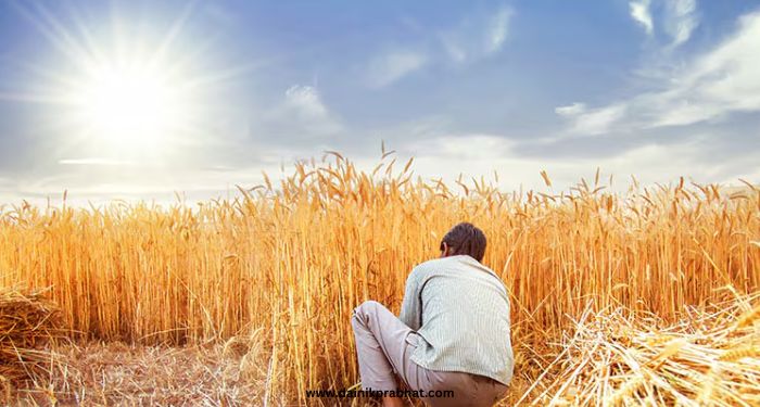 heat effect on agriculture