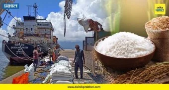 Indian Rice Exports भारतीय तांदूळ निर्यातीला फटका; निर्यातीत 7.5 टक्क्यांची घट