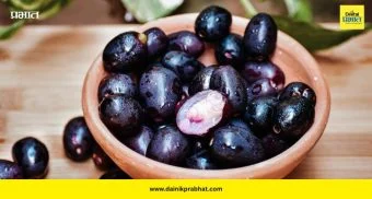 Jamun Benefits: डायबिटीजपुरताच नाही तर संपूर्ण आरोग्यासाठी जांभूळ ठरते रामबाण!