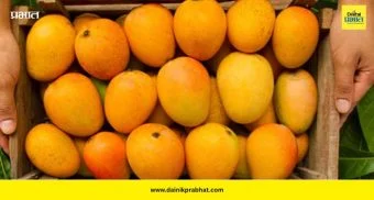 Mango Buying Tips: चमकदार आंब्यांच्या आड दडलेला धोका! १ मिनिटात ओळखा सुरक्षित आणि विषारी आंबा