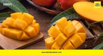 Mango Eating Tips: जेवणानंतर आंबा खाणं योग्य की अयोग्य? तज्ज्ञांनी दिला स्पष्ट सल्ला
