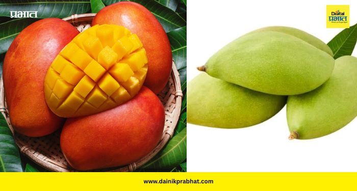Mango Benefits: “कच्चा की पिकलेला आंबा? तुमच्यासाठी नेमकं काय बेस्ट?”