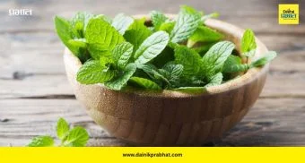 Mint Benefits: “गॅस-अॅसिडिटीने त्रासलात? पुदिना ठरेल तुमचा बेस्ट उपाय”