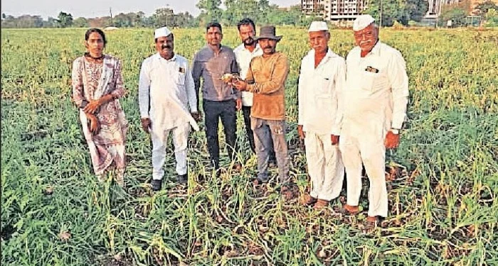 Pune District : अवकाळी पाऊस व गारपिटीचा तडाखा; पिरंगुट-लवळे परिसरातील शेतकरी संकटात : पंचनामे सुरू
