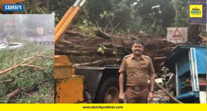 Pune Unseasonal Rains: पुण्यात अवकाळी पावसाचा पहिला बळी; झाड कोसळून महिलेचा मृत्यू, दोघे जखमी