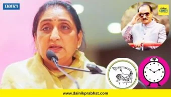 Baramati by-election : बारामतीच्या पोटनिवडणुकीसाठी 53 अर्ज वैध; सुनेत्रा पवारांविरोधात 'ही' महिला उमेदवार रिंगणात