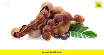 Tamarind Benefits: आंबट-गोड चिंचेचे फायदे पाहून थक्क व्हाल! आरोग्यासाठी सुपरफूड ठरते चिंच