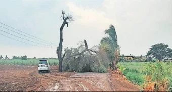 Pune District : जिल्ह्यात वादळी वारा, गारपिटीने दैना
