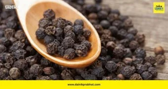 Home Remedies: काळी मिरीचे अद्भुत फायदे; सर्दी-खोखल्यापासून पचनापर्यंत नैसर्गिक उपाय