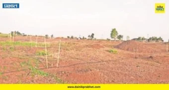 Shirur News : चिंचणीत हायव्होल्टेज ड्रामा! ५४ एकर गायरान जमिनीवरील वृक्षारोपण कार्यक्रमात नेमकं काय घडलं?
