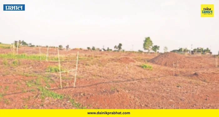 Shirur News : चिंचणीत हायव्होल्टेज ड्रामा! ५४ एकर गायरान जमिनीवरील वृक्षारोपण कार्यक्रमात नेमकं काय घडलं?