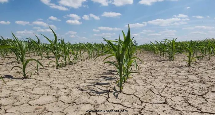 Crop Damage 2