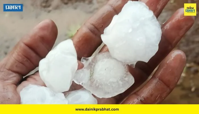 Hingoli News : हिंगोली जिल्ह्यातील कडोळी परिसरात मान्सूनपूर्व अवकाळी पावसाचा फटका